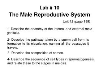 Lab # 10