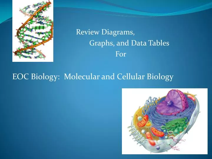 review diagrams graphs and data tables for eoc biology molecular and cellular biology