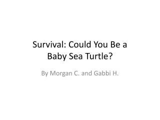 Survival: Could You Be a Baby Sea Turtle?