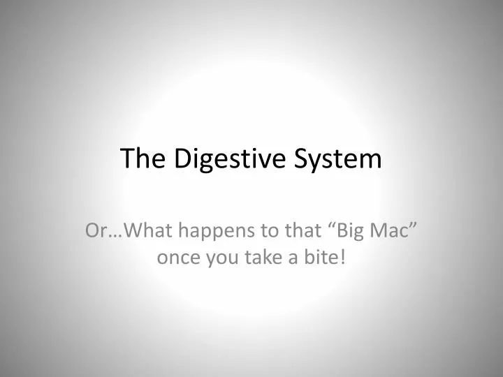 the digestive system