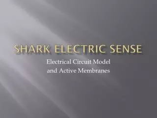 Shark Electric Sense
