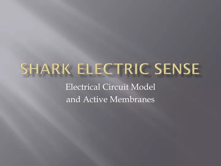 shark electric sense