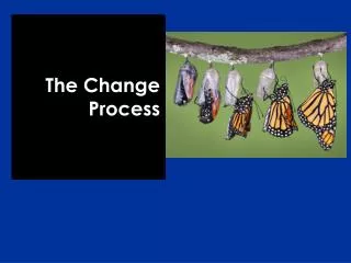 The Change Process