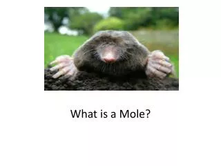 What is a Mole?
