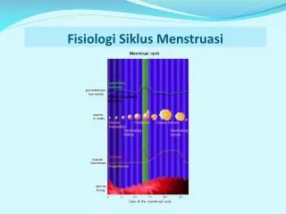 fisiologi siklus menstruasi