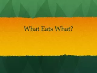 What Eats What?