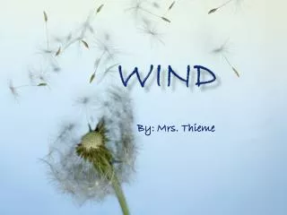 Wind