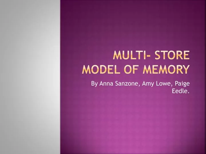multi store model of memory