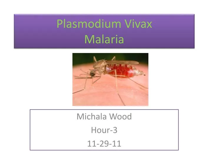 plasmodium vivax malaria