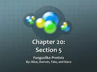 Chapter 20: Section 5