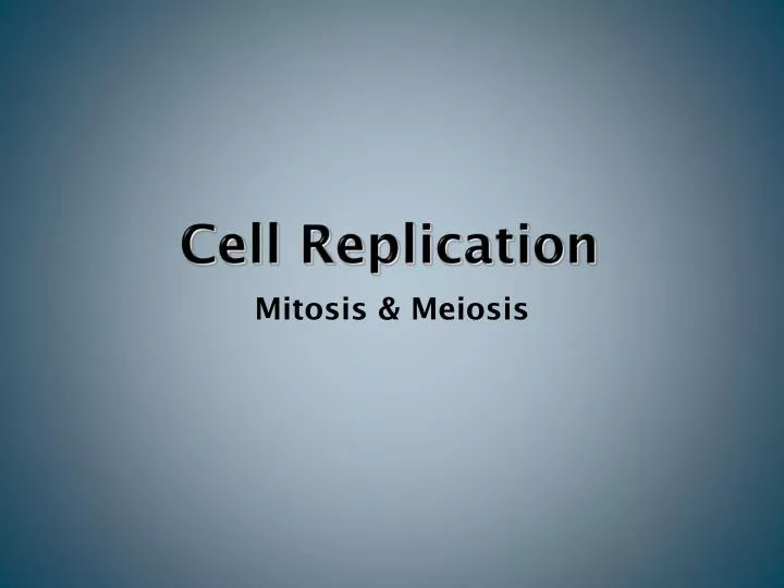 cell replication