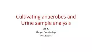 Cultivating anaerobes and Urine sample analysis