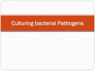 Culturing bacterial Pathogens