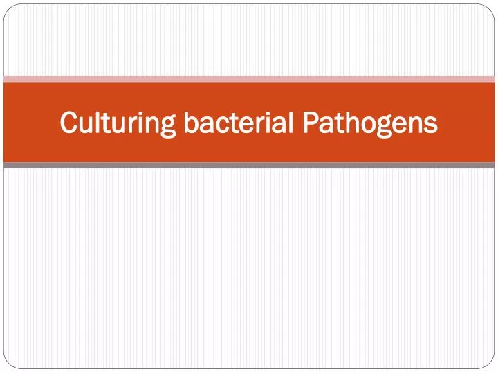 culturing bacterial pathogens