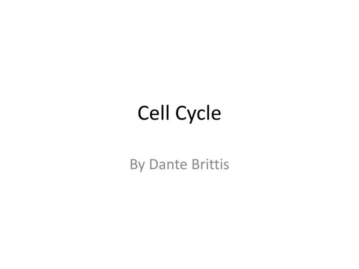 cell cycle