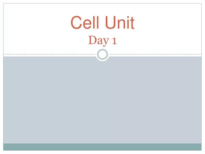 cell unit day 1