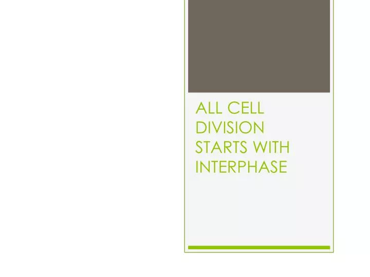all cell division starts with interphase