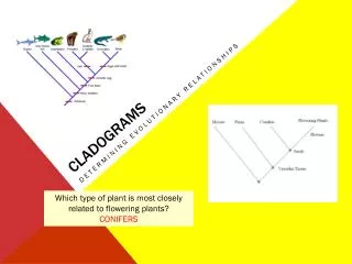 Cladograms