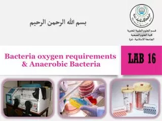 Bacteria oxygen requirements &amp; Anaerobic Bacteria