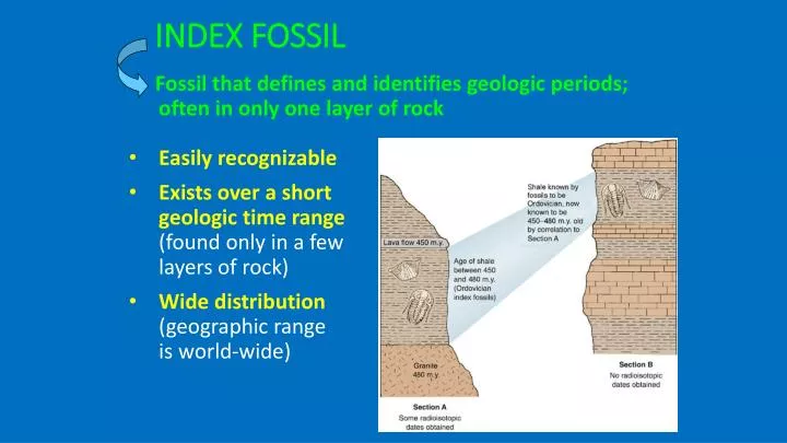 index fossil