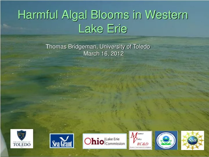 harmful algal blooms in western lake erie