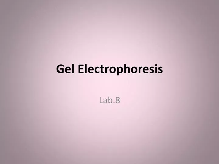 gel electrophoresis