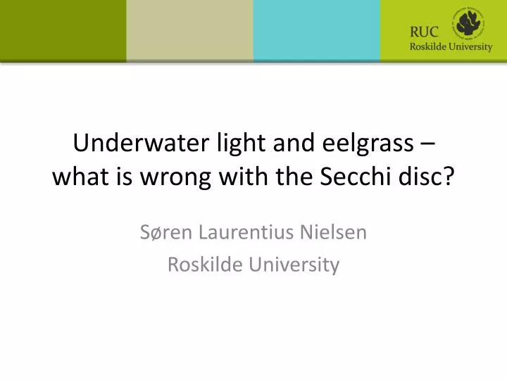 underwater light and eelgrass what is wrong with the secchi disc