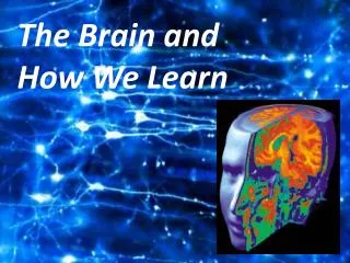 The Brain and How We Learn