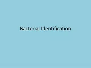 Bacterial Identification