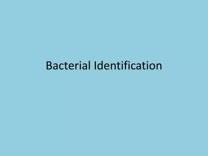 bacterial identification