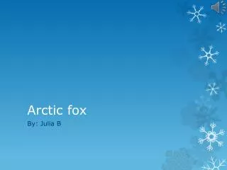 arctic fox