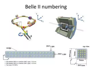 Belle II numbering