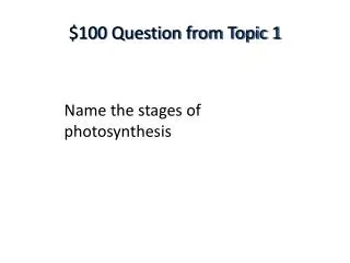 $100 Question from Topic 1