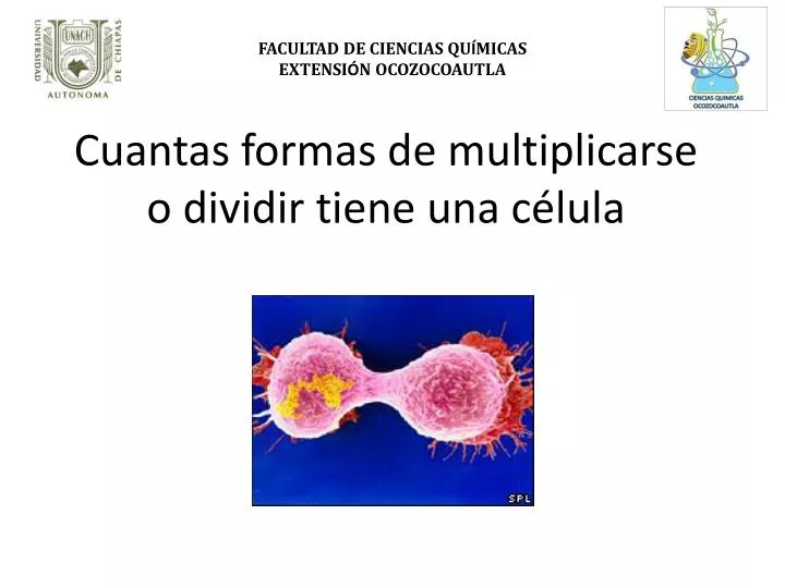 cuantas formas de multiplicarse o dividir tiene una c lula