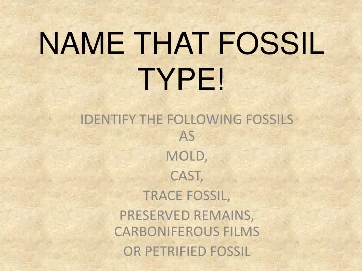 name that fossil type