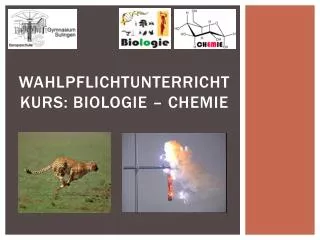 wahlpflichtunterricht kurs biologie chemie