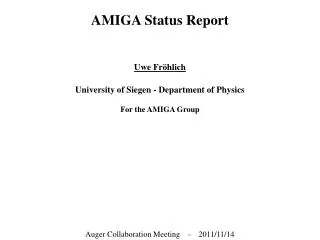 AMIGA Status Report