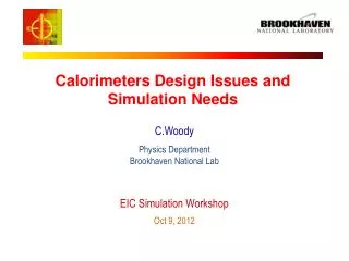 Calorimeters Design Issues and Simulation Needs
