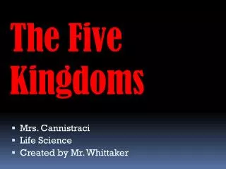 The Five Kingdoms