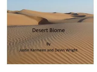 Desert Biome