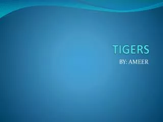 TIGERS