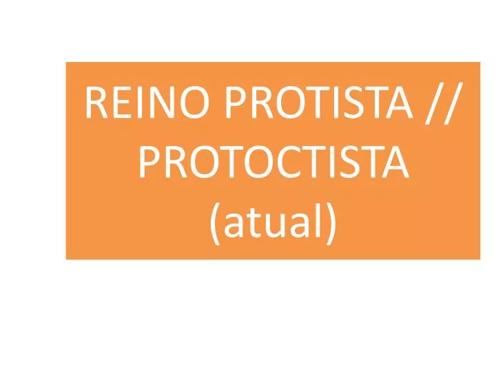 reino protista protoctista atual