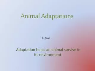 Animal Adaptations