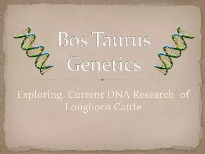 bos taurus genetics