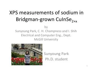 XPS measurements of sodium in Bridgman-grown CuInSe 2+x