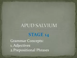 APUD SALVIUM