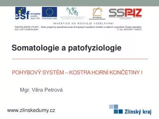 pohybov syst m kostra horn kon etiny i