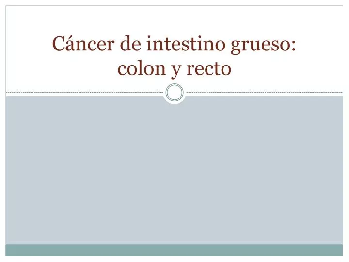 c ncer de intestino grueso colon y recto