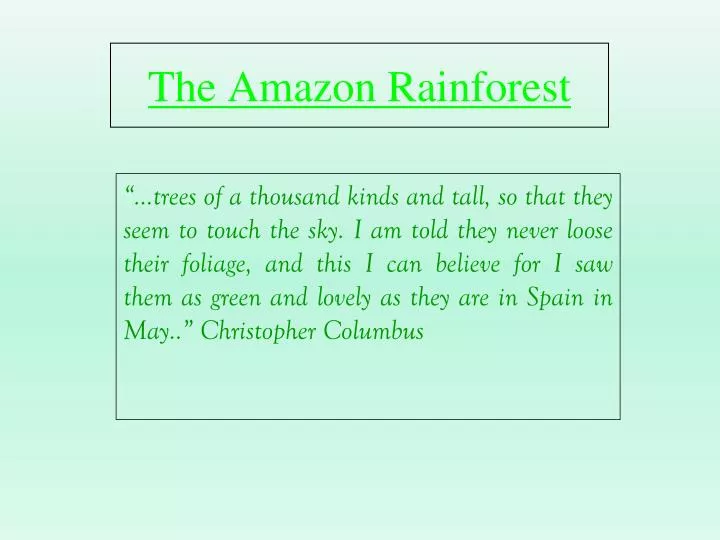 the amazon rainforest