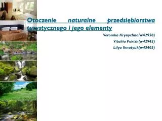 otoczenie naturalne przedsi biorstwa turystycznego i jego elementy